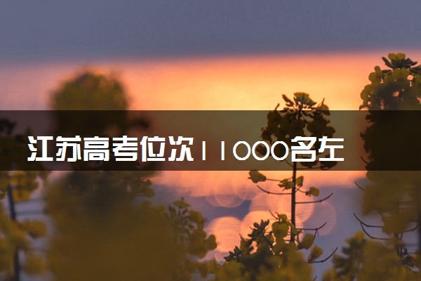 江苏高考位次11000名左右报什么大学好（2025年参考）