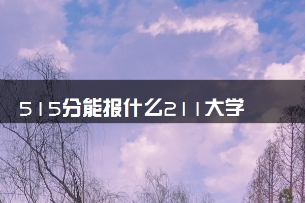 515分能报什么211大学 2025推荐院校