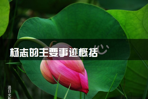 杨志的主要事迹概括