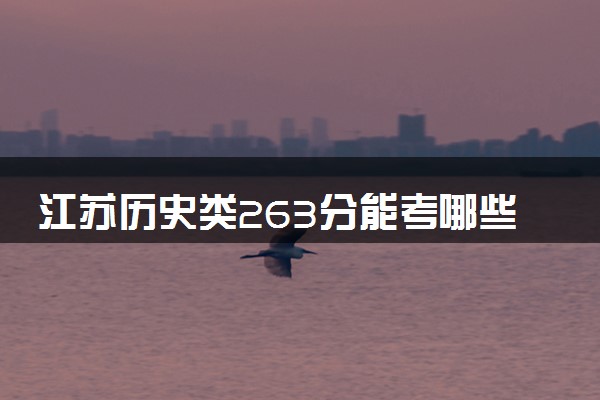江苏历史类263分能考哪些大学 2025考生稳上的大学名单