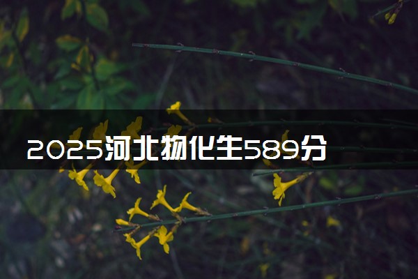 2025河北物化生589分左右能上什么大学 可以报考的院校名单