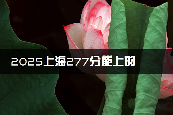 2025上海277分能上的大学有哪些 可以报考院校名单