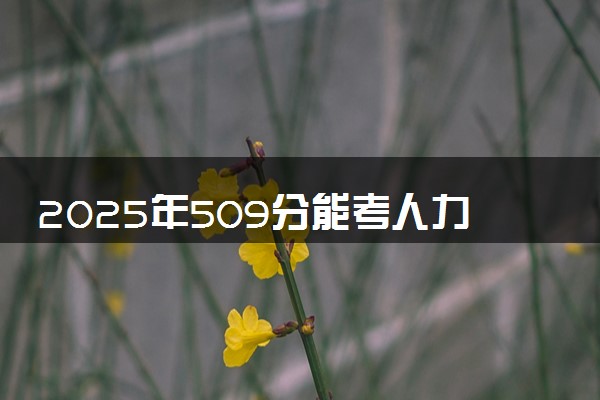 2025年509分能考人力资源管理专业吗 509分人力资源管理专业大学推荐