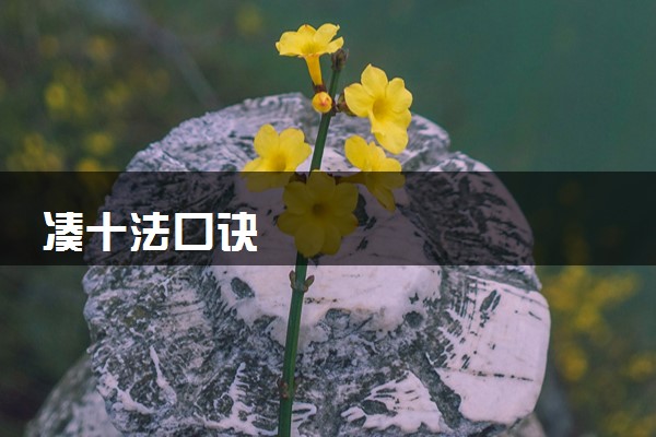 凑十法口诀