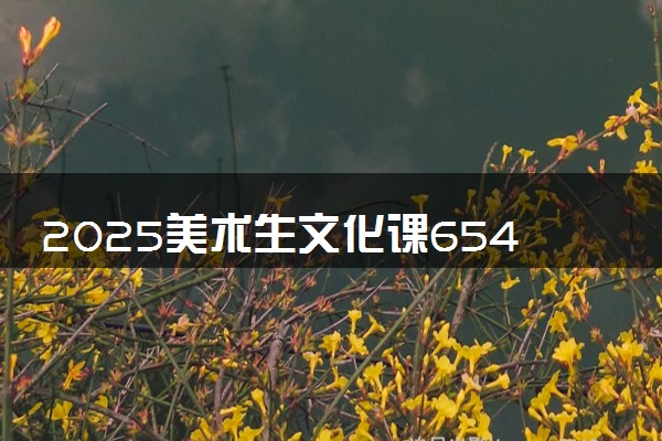 2025美术生文化课654分能上合肥工业大学吗