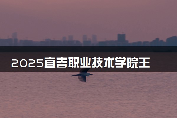 2025宜春职业技术学院王牌专业有哪些 最好的专业是什么