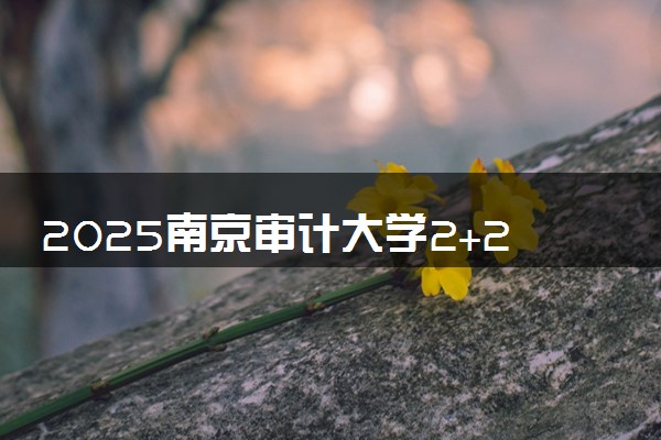 2025南京审计大学2+2国际本科报名入口 怎么报考