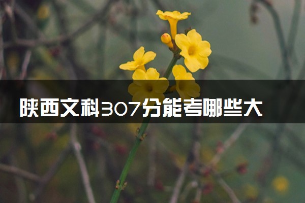 陕西文科307分能考哪些大学 2025考生稳上的大学名单