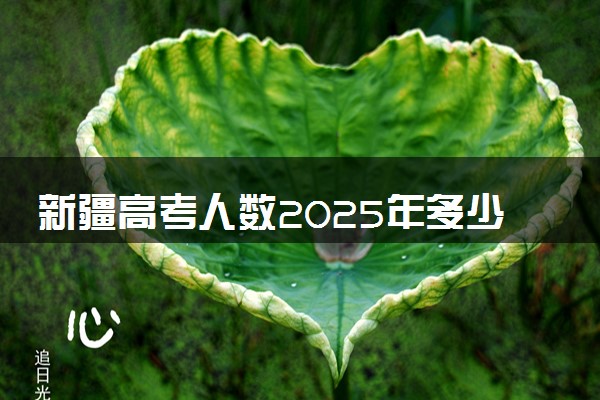 新疆高考人数2025年多少人报名 新疆高考报名人数预测