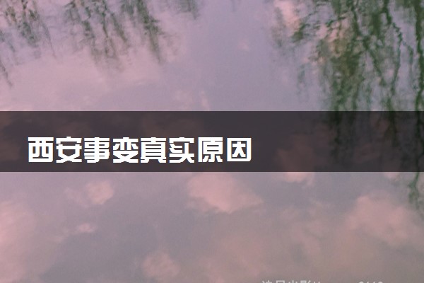 西安事变真实原因