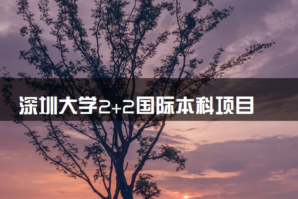 深圳大学2+2国际本科项目介绍