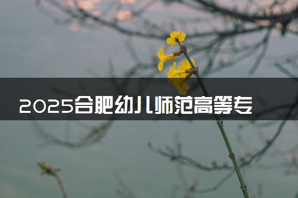 2025合肥幼儿师范高等专科学校全国排名最新 录取分数线是多少
