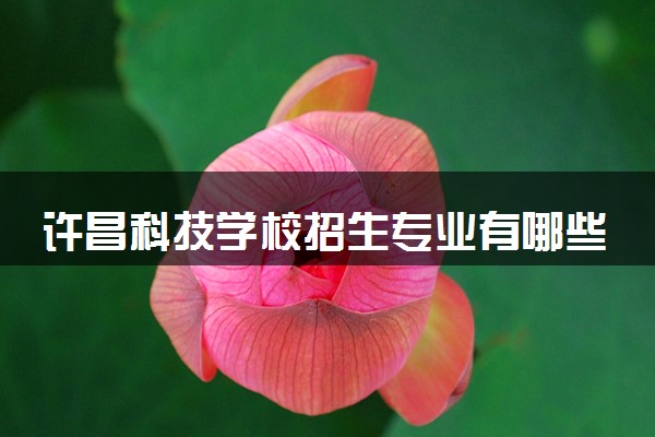 许昌科技学校招生专业有哪些