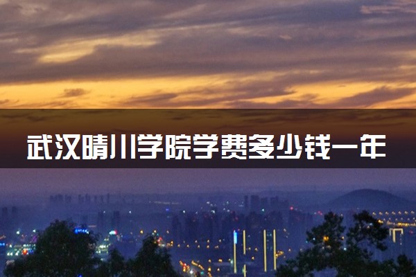 武汉晴川学院学费多少钱一年 各专业收费标准（2025年参考）