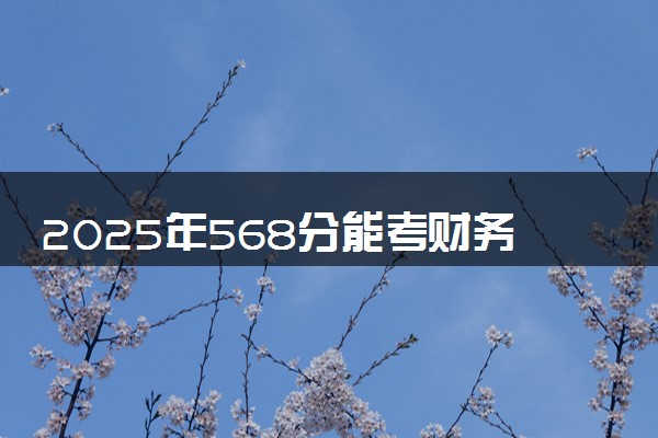 2025年568分能考财务管理专业吗 568分财务管理专业大学推荐