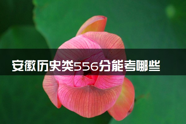 安徽历史类556分能考哪些大学 2025考生稳上的大学名单