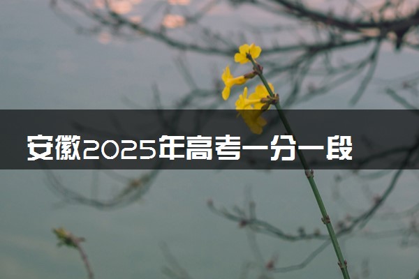安徽2025年高考一分一段表 历史类成绩排名查询