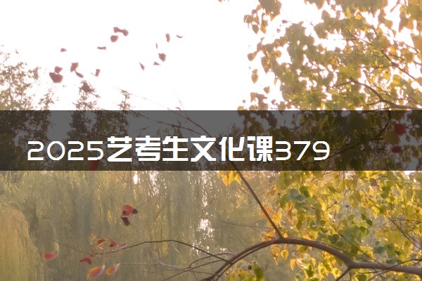 2025艺考生文化课379分能上梧州学院吗