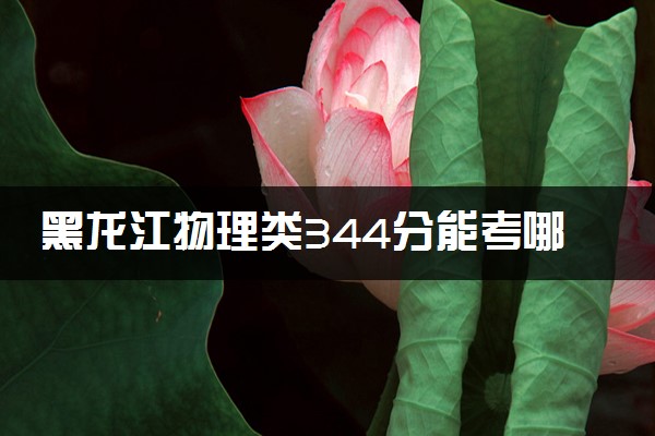 黑龙江物理类344分能考哪些大学 2025考生稳上的大学名单