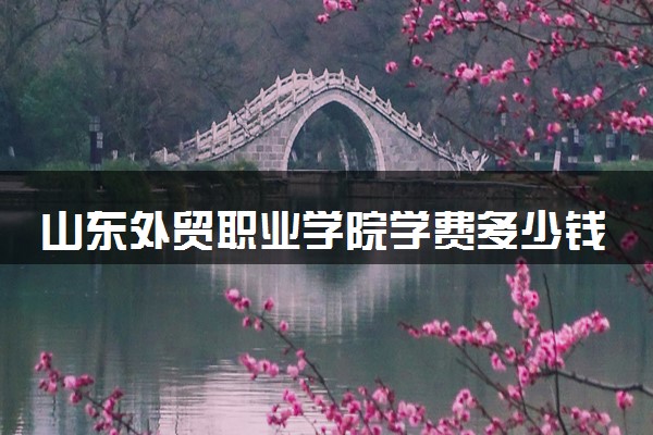 山东外贸职业学院学费多少钱一年 各专业收费标准（2025年参考）