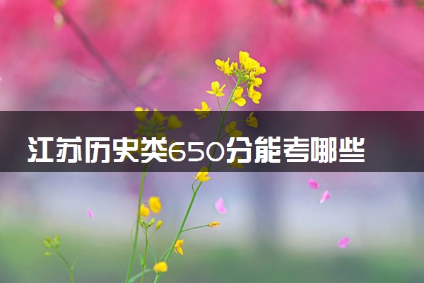 江苏历史类650分能考哪些大学 2025考生稳上的大学名单