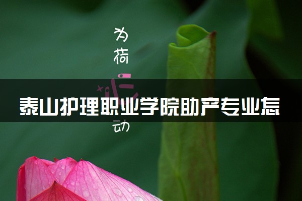 泰山护理职业学院助产专业怎么样 录取分数线多少