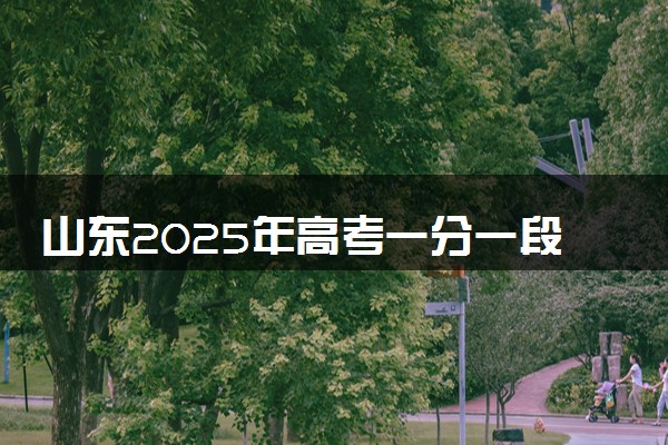山东2025年高考一分一段表 成绩排名查询