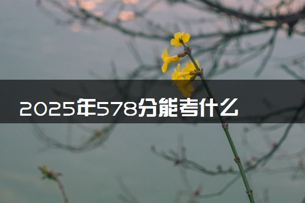 2025年578分能考什么财经类大学 哪些大学值得报