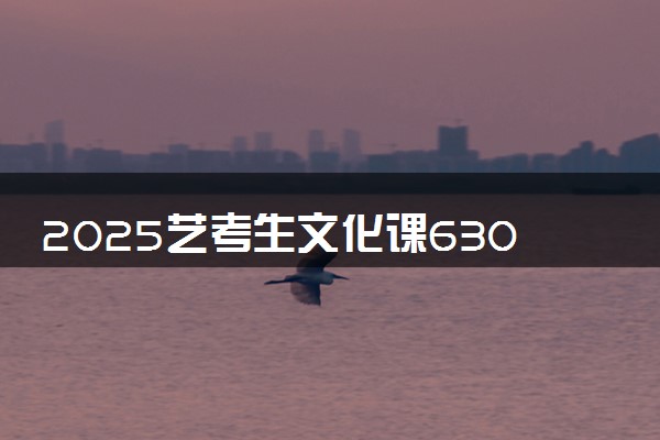 2025艺考生文化课630分能上电子科技大学吗