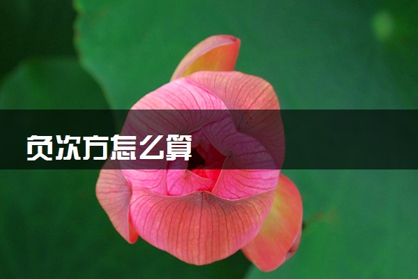 负次方怎么算