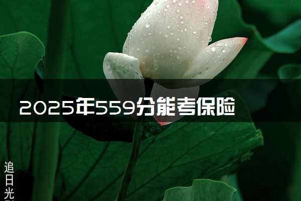 2025年559分能考保险学专业吗 559分保险学专业大学推荐