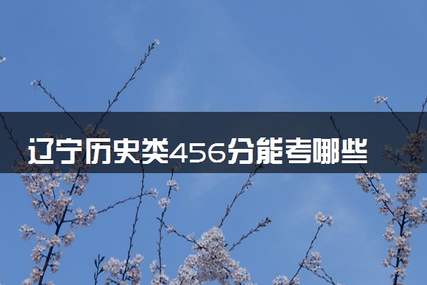 辽宁历史类456分能考哪些大学 2025考生稳上的大学名单