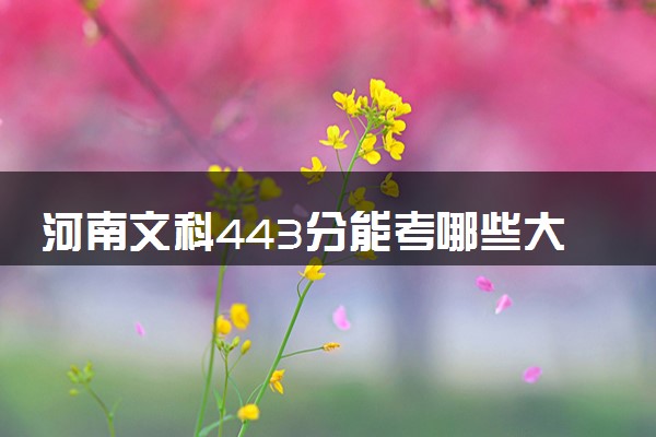 河南文科443分能考哪些大学 2025考生稳上的大学名单