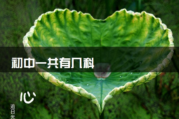 初中一共有几科