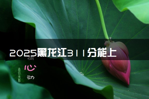2025黑龙江311分能上的大学有哪些 可以报考院校名单