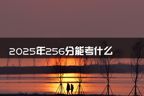 2025年256分能考什么师范类大学 哪些大学值得报
