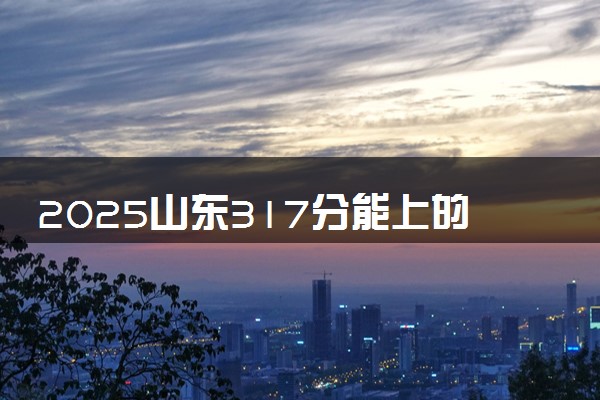 2025山东317分能上的大学有哪些 可以报考院校名单