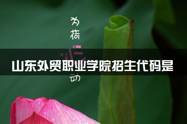 山东外贸职业学院招生代码是多少 附专业代码对照表（2025参考）