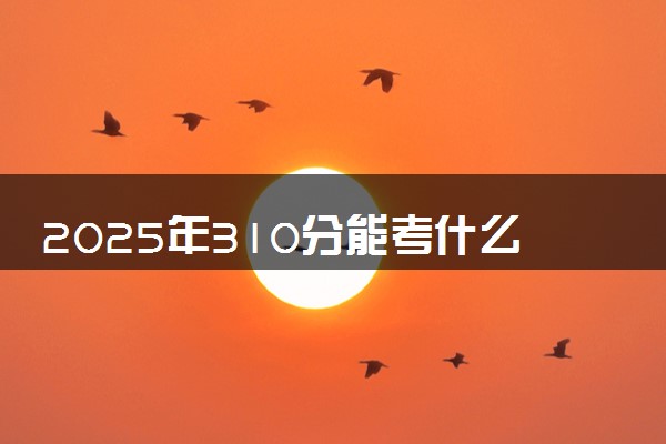 2025年310分能考什么艺术类大学 哪些大学值得报