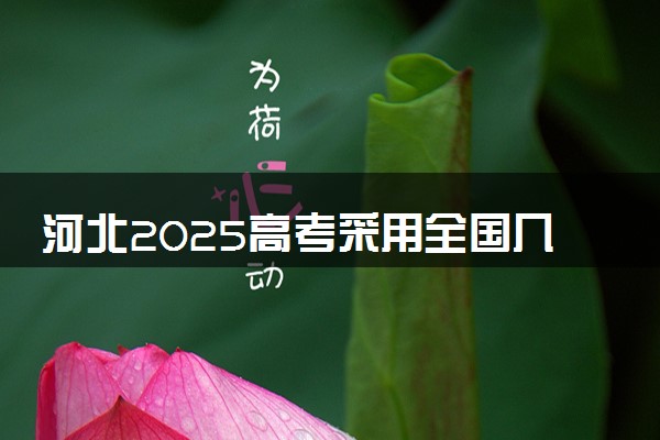 河北2025高考采用全国几卷 新高考全国卷I还是卷II