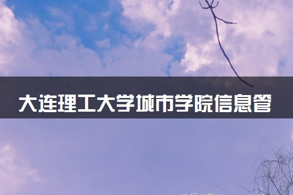大连理工大学城市学院信息管理与信息系统专业怎么样 录取分数线多少