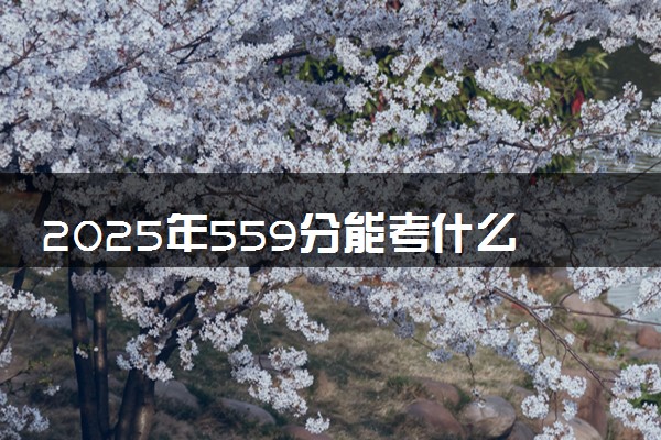 2025年559分能考什么师范类大学 哪些大学值得报