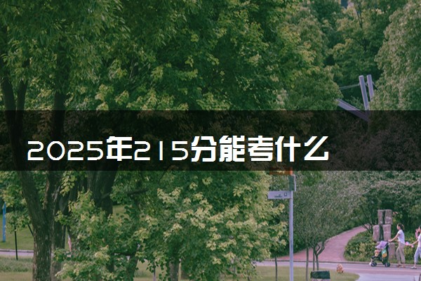 2025年215分能考什么艺术类大学 哪些大学值得报