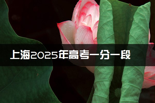 上海2025年高考一分一段表 成绩排名查询