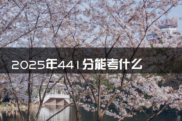 2025年441分能考什么政法类大学 哪些大学值得报