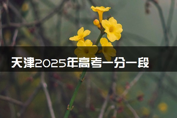 天津2025年高考一分一段表 成绩排名查询