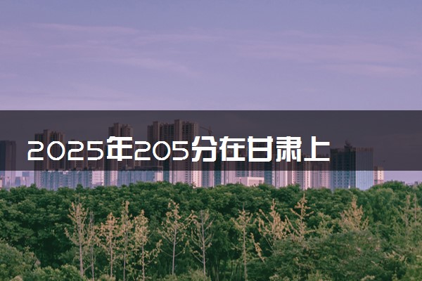 2025年205分在甘肃上什么大学好 近三年录取分数线是多少