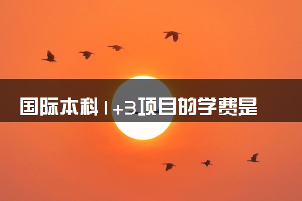 国际本科1+3项目的学费是多少 3年总共要多少钱