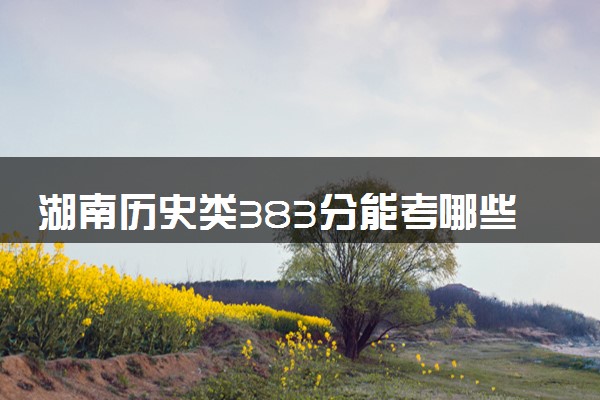 湖南历史类383分能考哪些大学 2025考生稳上的大学名单