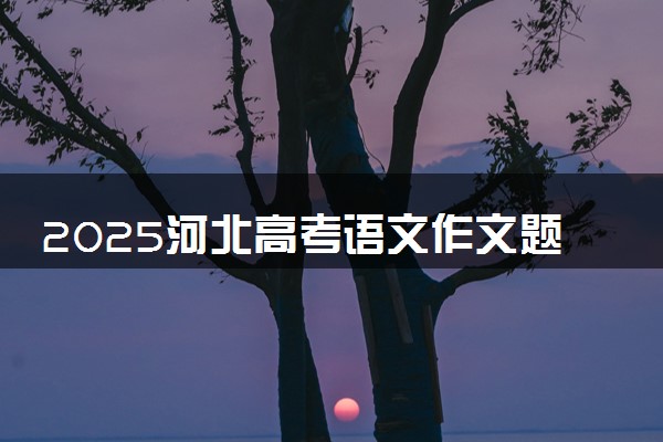 2025河北高考语文作文题目预测 可能会出什么话题